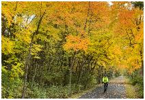SaginawValleyRail0443A